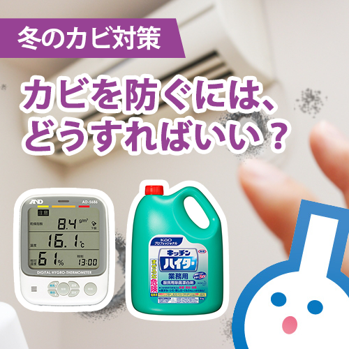 カビはどうして生えるの？どうしたら防げるの？